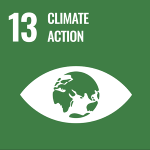 Sustainable ESG (Environmental Social Governance) 3 13 Climate Action SDG