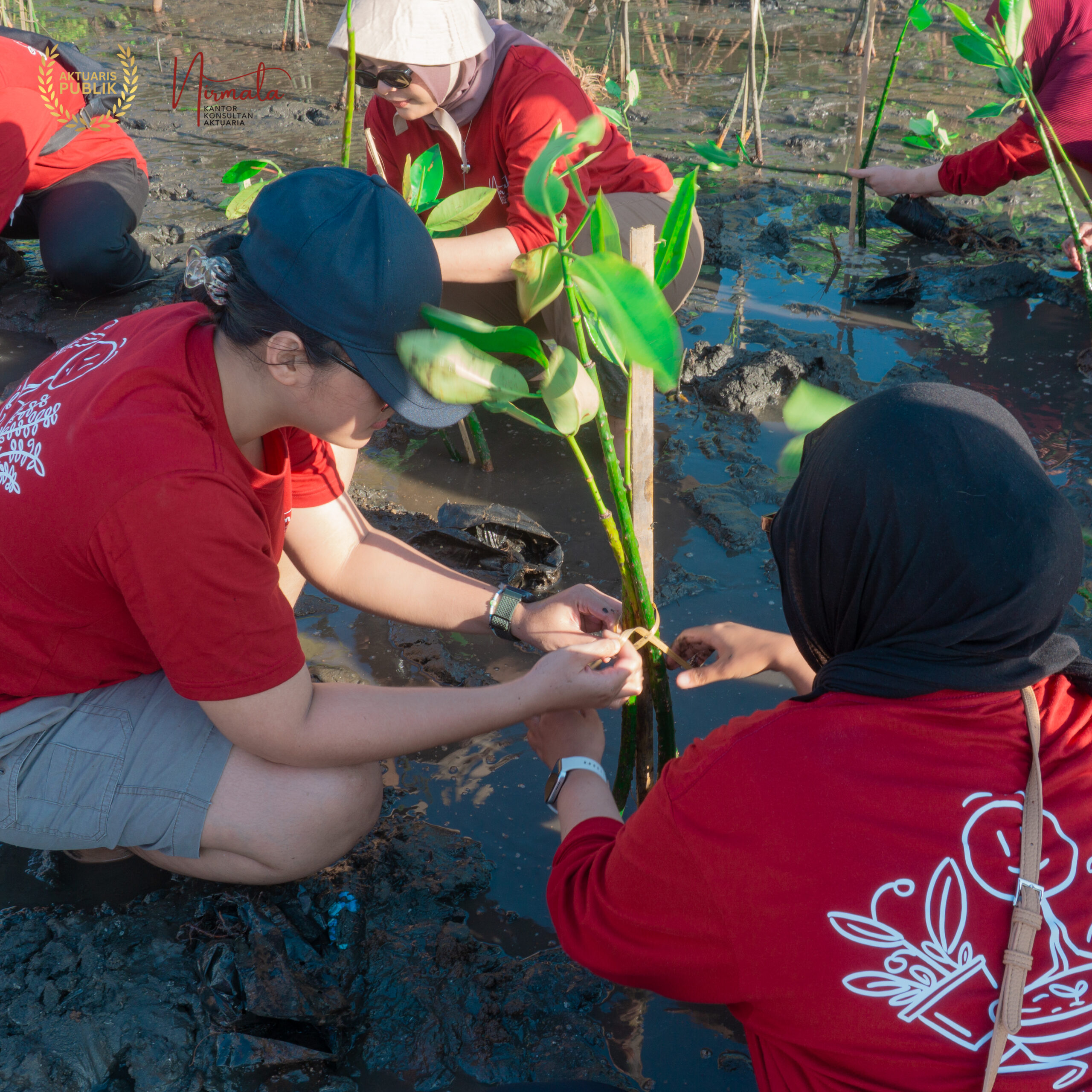 CSR Penanaman 1000 Mangrove Tumbuh Bersama KKA Nirmala Komitmen ESG 8
